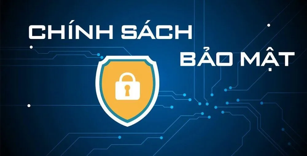 Giới thiệu về chính sách bảo mật DP568